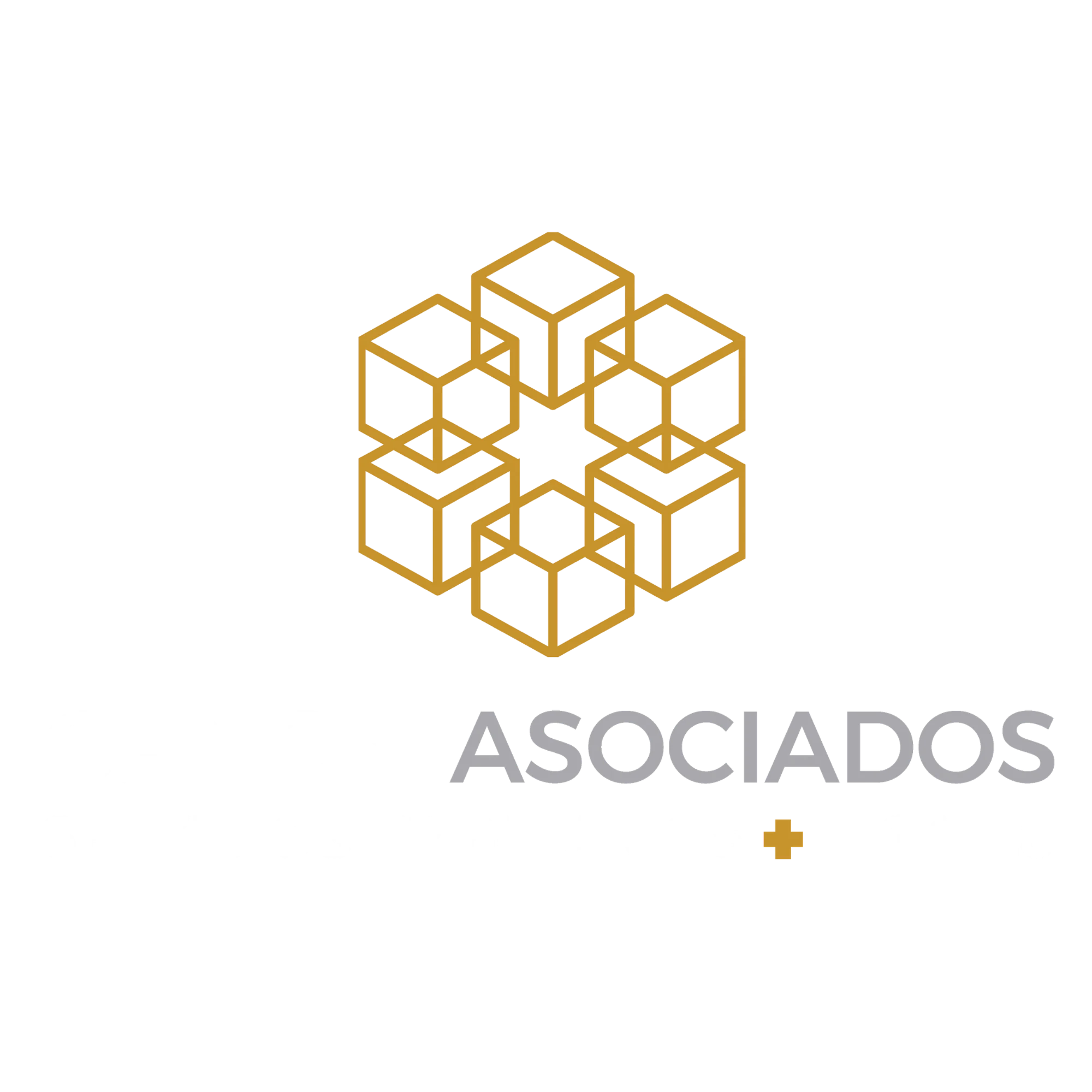 Cañón Asociados
